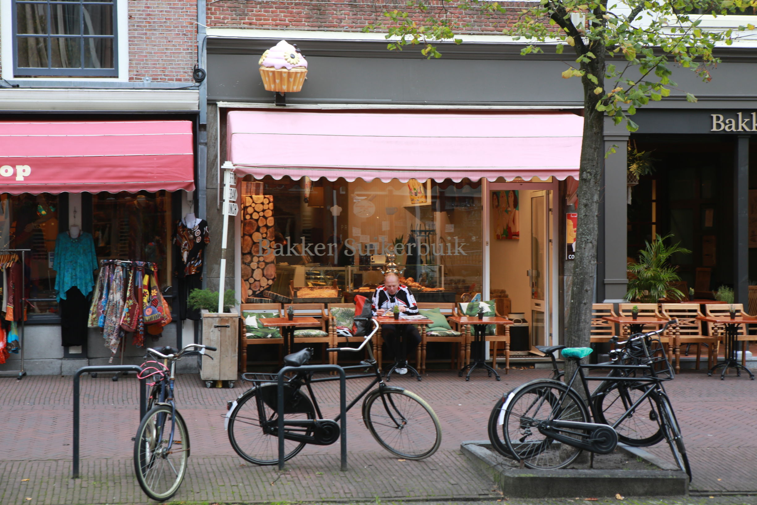 共享单车和德国自行车 (中国自行车与外国自行车哪个好骑)