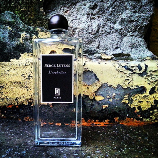 小七的生活记完整版,小七的生活日记618