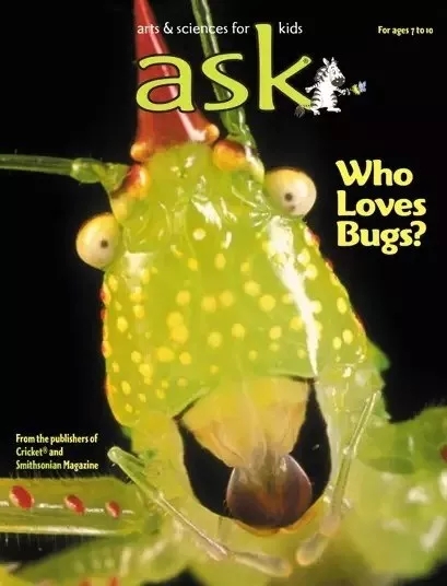 好强大！今年给孩子订杂志，一定看看这份攻略大全！