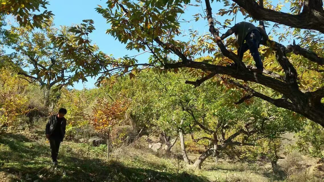 自驾游西峪水库,迁西大黑汀水库自驾游