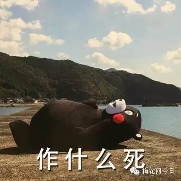 尔康表情包绿幕,尔康表情包原片段