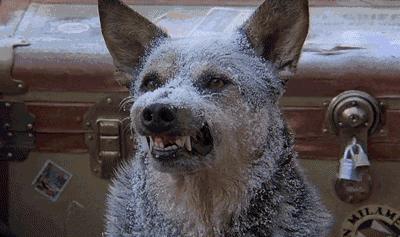 流感来袭防治有妙招,流感中医怎么治疗