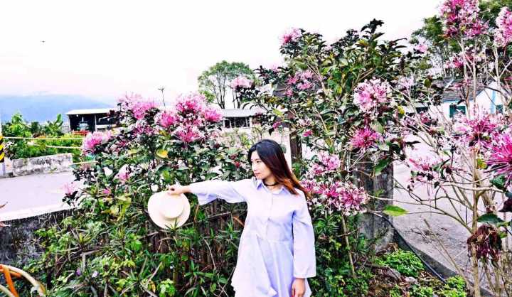 恋恋花莲小清新：寻找那一抹花意