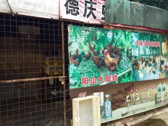 珠三角美食攻略一日游,广东吃货好去处