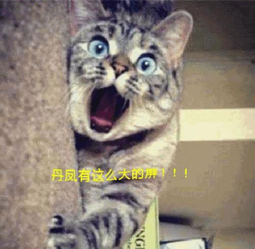 昨天晚上,大家都在广场抬头看一块屏幕!