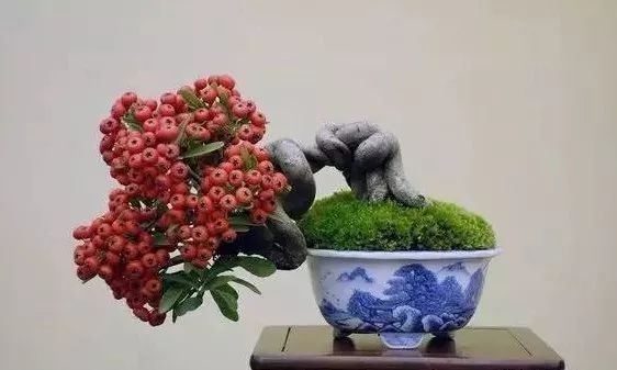 大师是怎么炼成的免费,真正的大师是怎么练成的