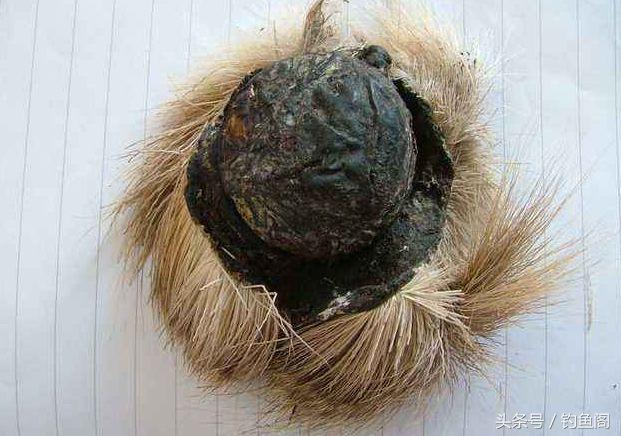 人工合成麝香泡酒钓鱼,麝香酒钓鱼的正确方法