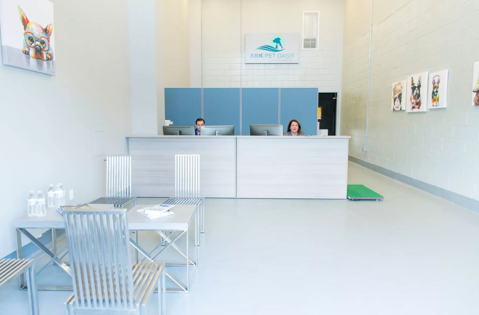 当狗炫起富来根本没人什么事儿了