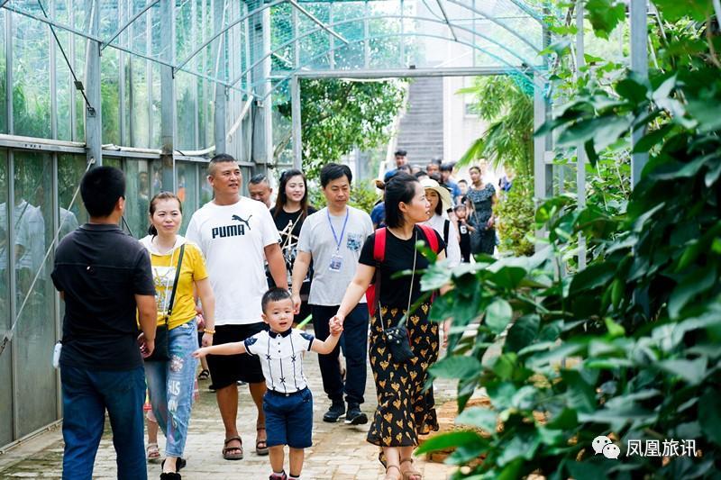 桐庐游玩好去处推荐,魔都人民