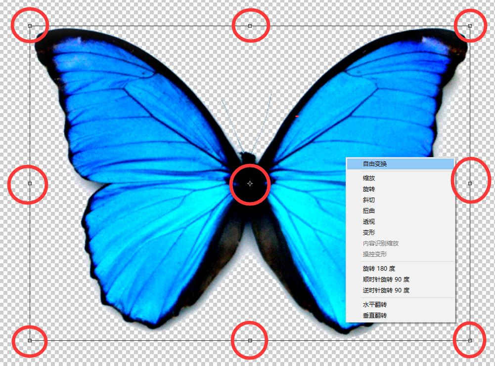 photoshop矫正变形怎么弄,ps变形教程零基础