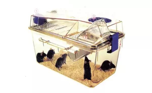 科技进步带给人类的福祉,科技进步带来利与弊