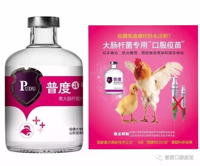 对禽大肠杆菌一般采取措施,养大肠杆菌