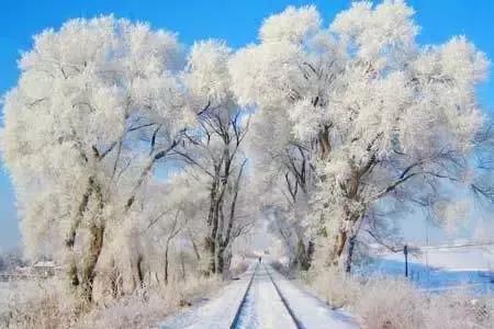 春节去哪里玩最热,春节去哪儿度假最暖和