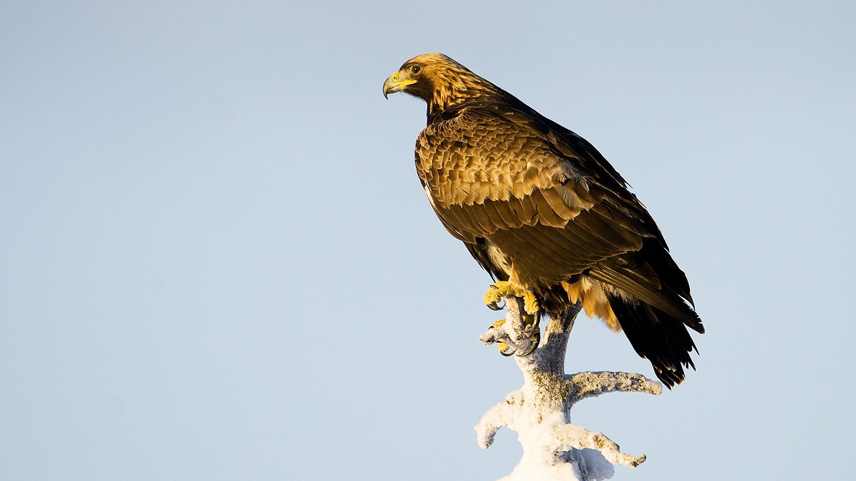 老李故事会全部,老李故事会大全