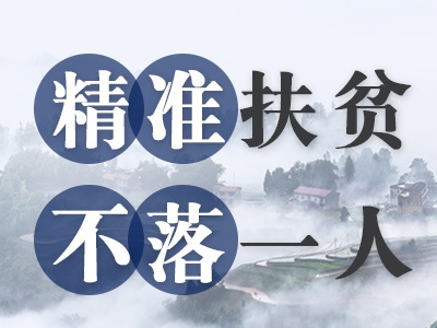 雁江：锁定目标任务下足“绣花”功夫
