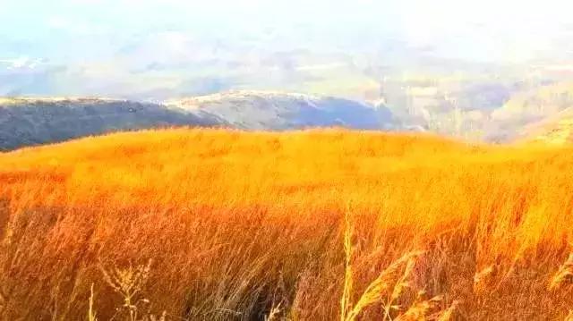 春节自驾山西旅游4-5天详细攻略,2019春节上海出发自驾旅游去哪里