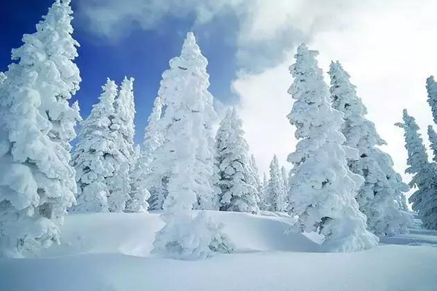 春节去哪里玩最热,春节去哪儿度假最暖和