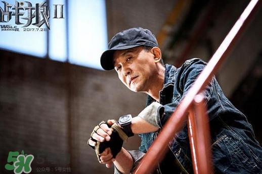 战狼2十部最惨的电影,电影战狼2的看法