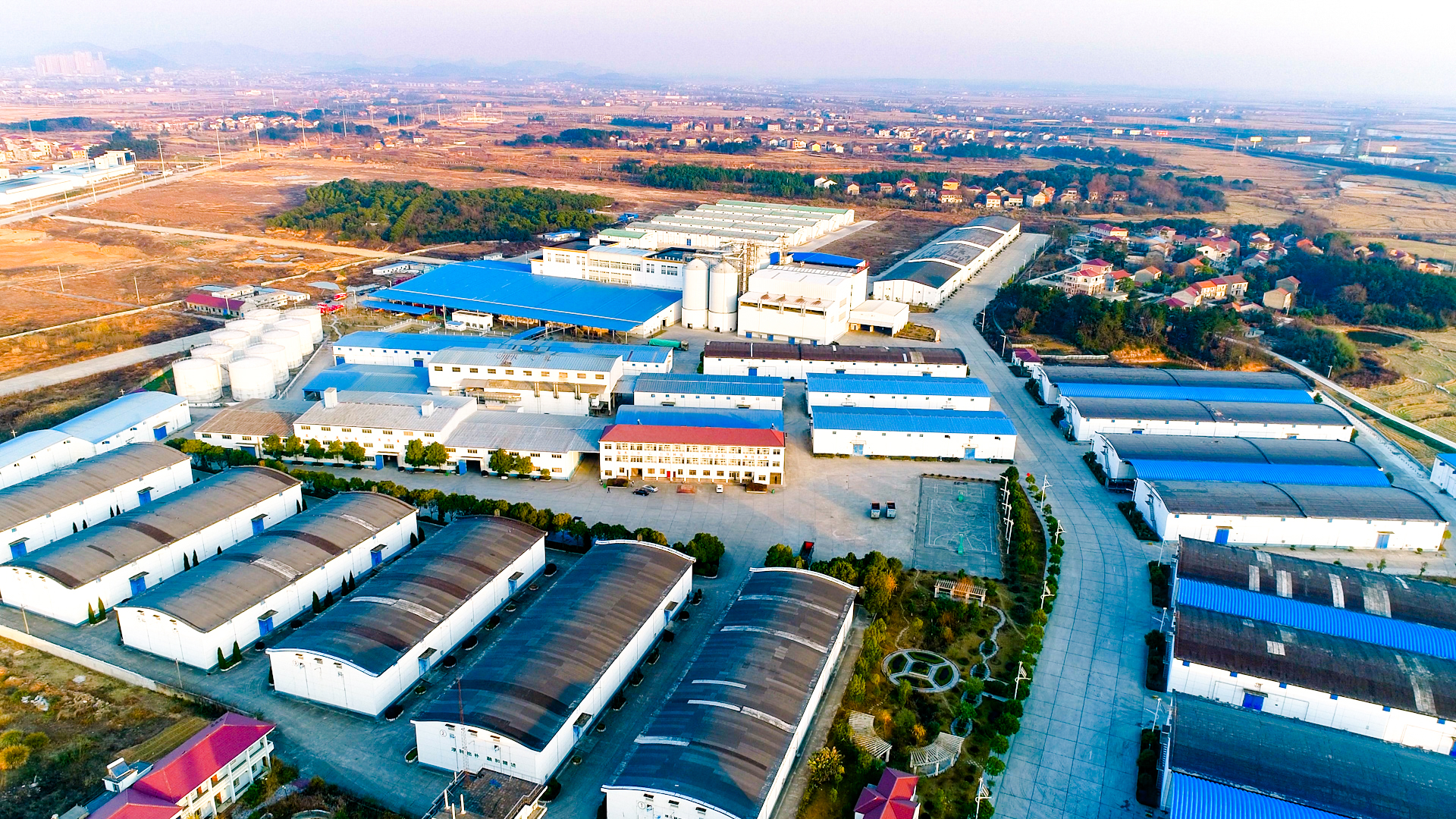 粮油产业化龙头企业,康宏粮油现状如何