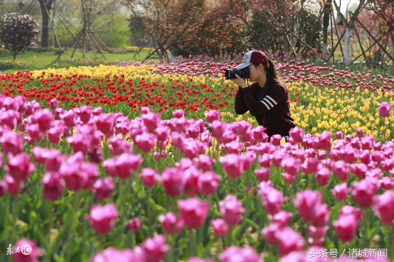 2023诸城市纳税企业排行榜,诸城市纳税企业排行