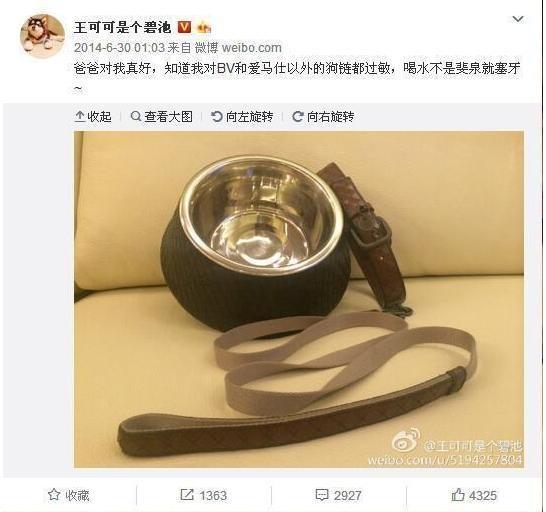 人不如狗系列：住着LV的狗袋，玩着八万元的宠物玩具