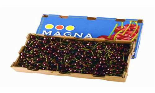 年货小生意做什么赚钱,农村年货卖什么最赚钱