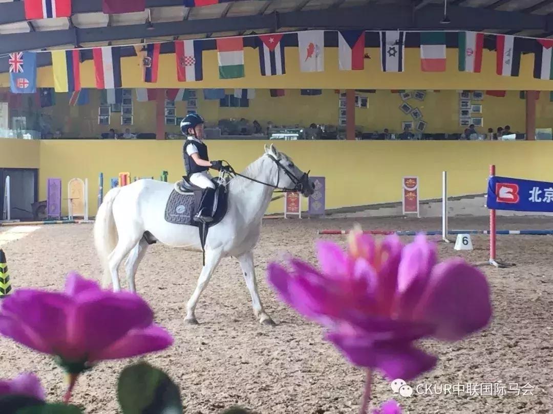 骑马闯天涯,骑马闯荡天涯