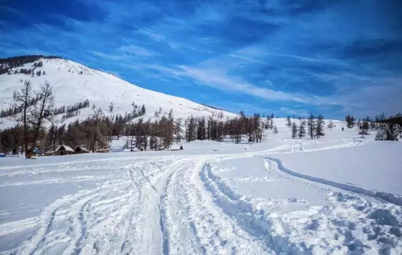 哪款四驱车性能和性价比高,最强四驱suv的燃油经济性怎么样