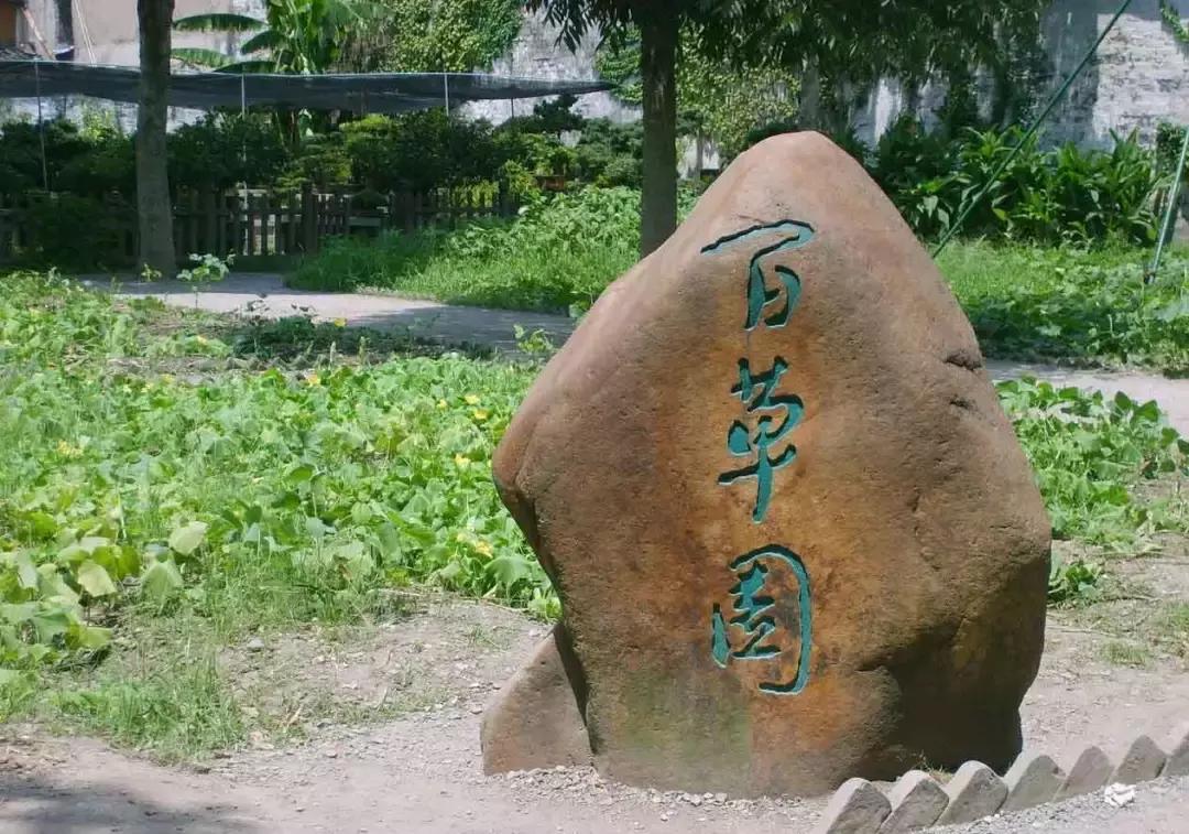 去看看鲁迅笔下的绍兴,鲁迅江南水乡绍兴