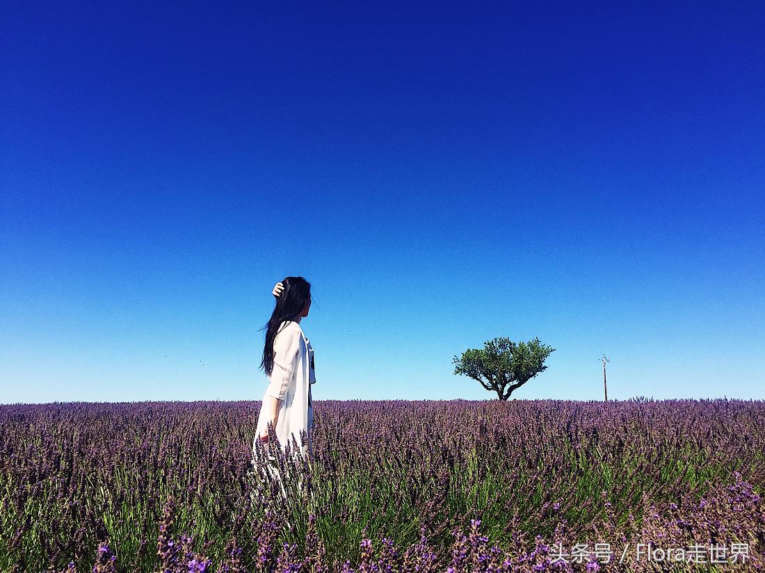 法国14日行程总攻略，整理完毕~