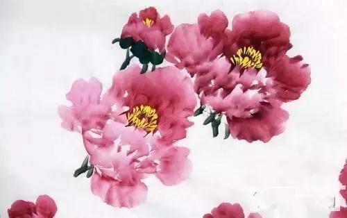 粉笔画牡丹画法简单,牡丹画法简单讲解太实用了