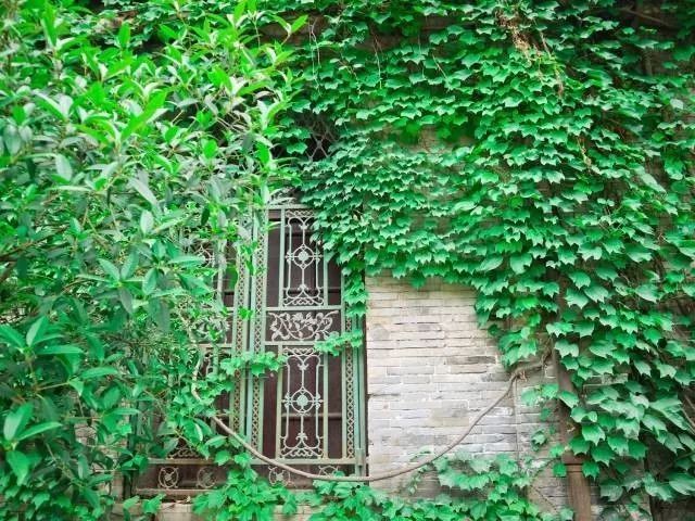 成都文艺惊艳的地方,成都最有文艺气息