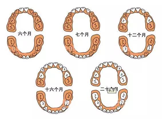 宝宝出牙症状顺序及护理知识,宝宝出牙症状顺序及护理攻略