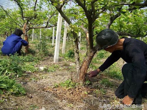 正确的清园手法,清园小妙招大全