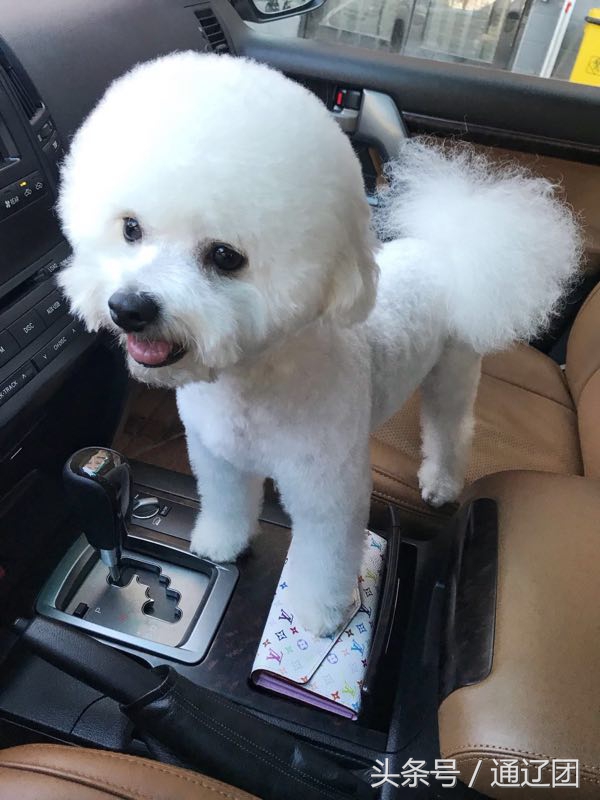 用爱暖通辽!助力通辽人!