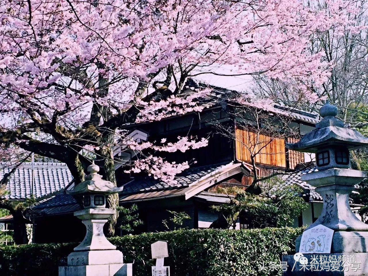 亲子游出境自由行,亲子游建议去的十个城市