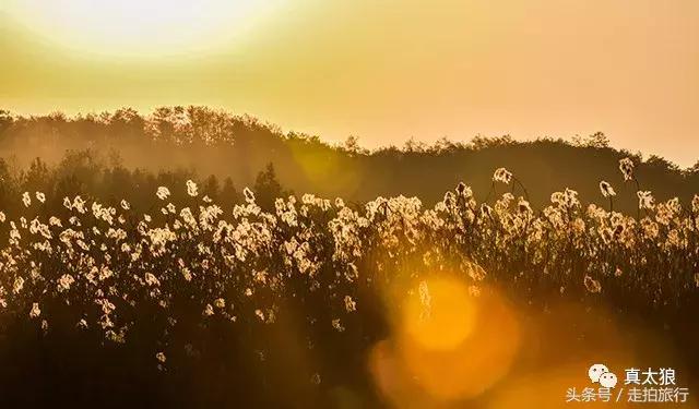 无门票丨这些不该被遗忘的泾县古村，宣纸村与世外桃源......