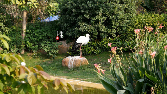 新年广州珠海长隆游记,广州珠海长隆澳门自由行攻略