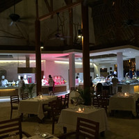 马尔代夫神仙珊瑚岛攻略,马尔代夫神仙珊瑚岛视频