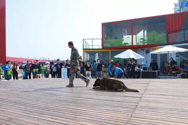 鏉ヨ繖閲屾劅鍙楃儫鐏皵鍜屽褰╀笉澶滃煄,鏉ヨ繖閲屼綋楠屼笘澶栨婧愮殑鎰熻