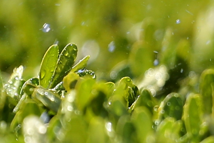 旗舰风范再临佳能EOS1DXMarkII评测