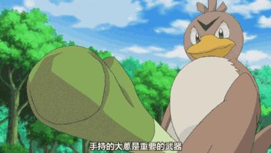 索队说：那些有价值的健身补剂！