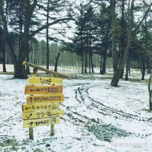 熊哥自驾游路线,熊哥自驾游全攻略