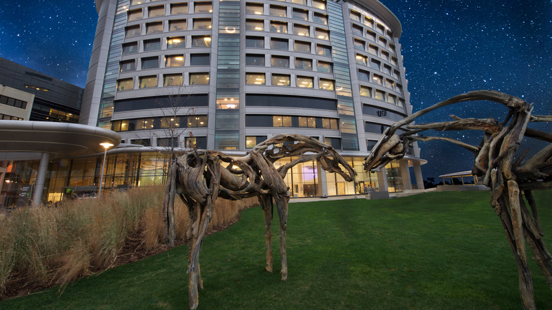 改善患者就医体验护理创新,改善患者就医体验项目