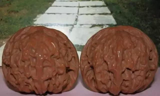 文玩核桃品种图鉴大全前十名,文玩核桃手串品种大全