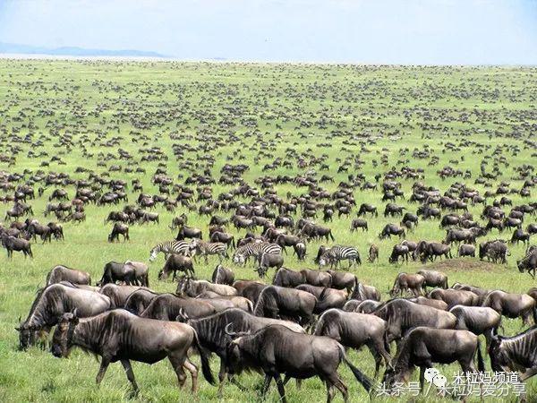 亲子游出境自由行,亲子游建议去的十个城市