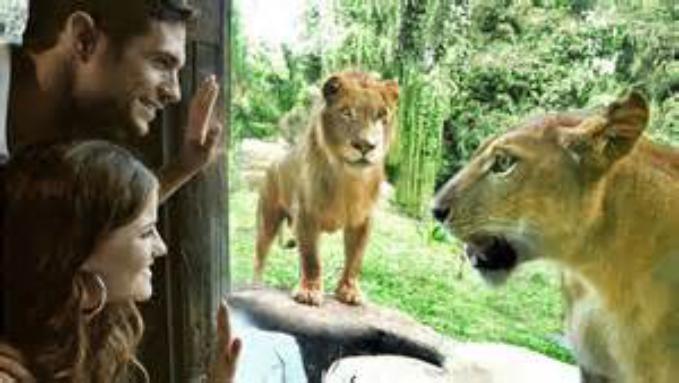 印度尼西亚巴厘岛的豪华度假胜地,巴厘岛海岛自驾游攻略