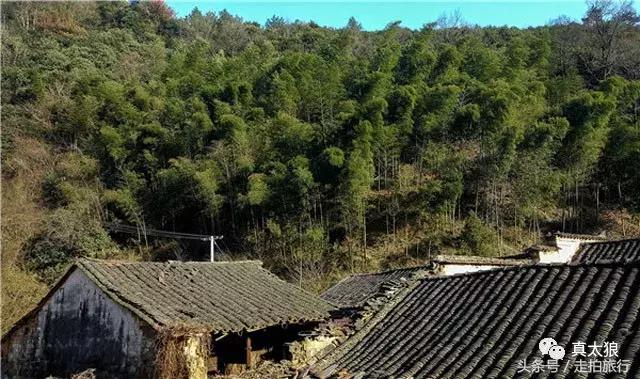 无门票丨这些不该被遗忘的泾县古村，宣纸村与世外桃源......