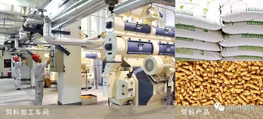 了不起的中粮“十八路军”：虎踞龙盘护民生，继往开来战全球！