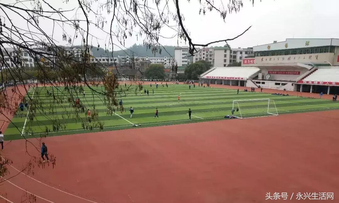 永兴一中老师名单,永兴一中